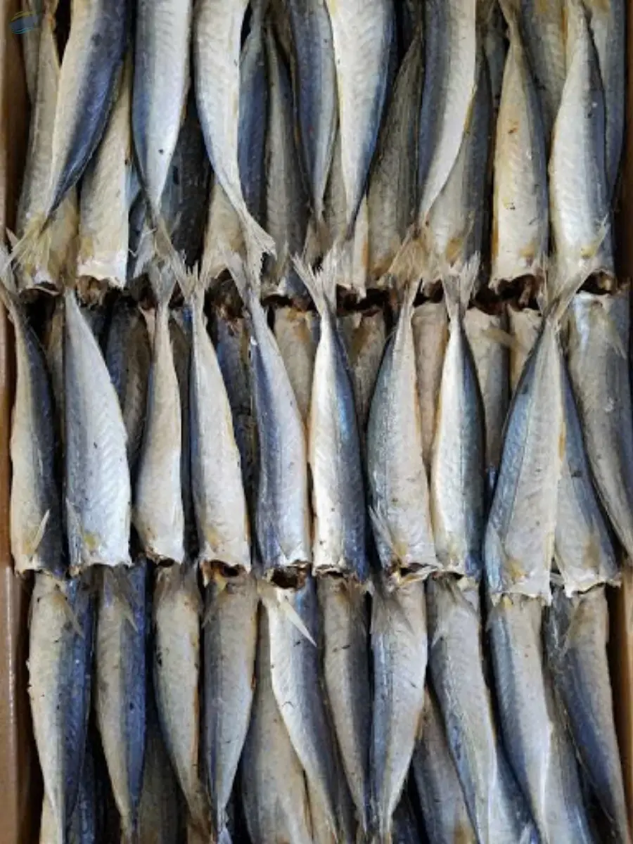 Dried Layang Scad
