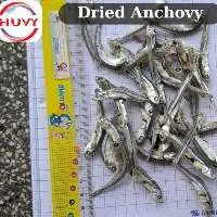 Dried Anchovy