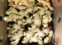 Fresh Ginger