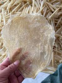 Fish Maw