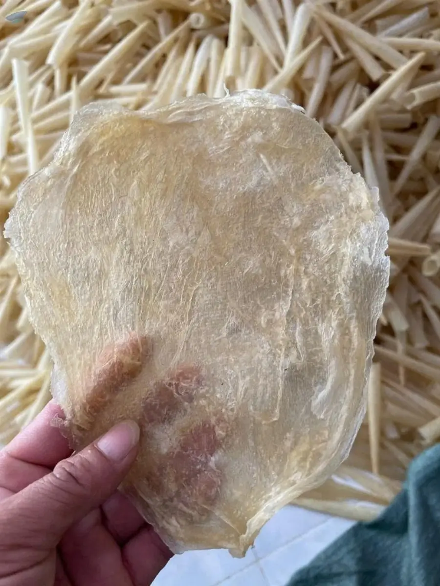 Fish Maw