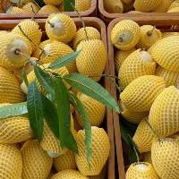Fresh Mango