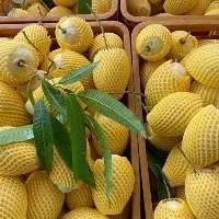 Fresh Mango