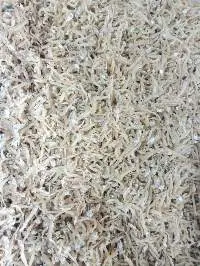 Dried Anchovy Fish