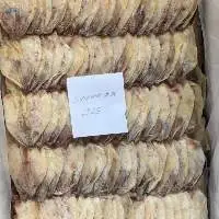 Dried Squid