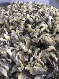 Fried Fish Skin