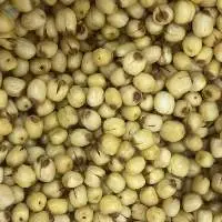 Lotus Seeds