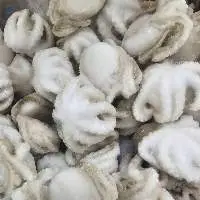 Frozen Octopus
