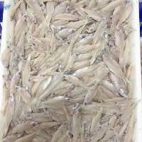 Frozen Keski Fish