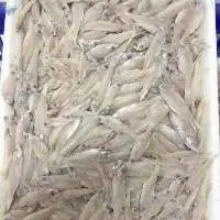 Frozen Keski Fish
