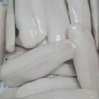 Frozen Pangasius Fillet