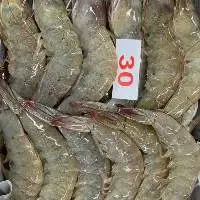 Frozen Black Tiger Shrimp
