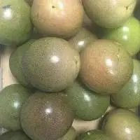 Passion Fruit