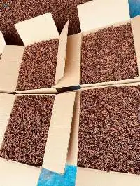 Dried Star Anise