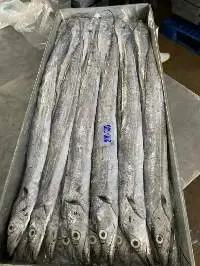 Frozen Ribbon Fish