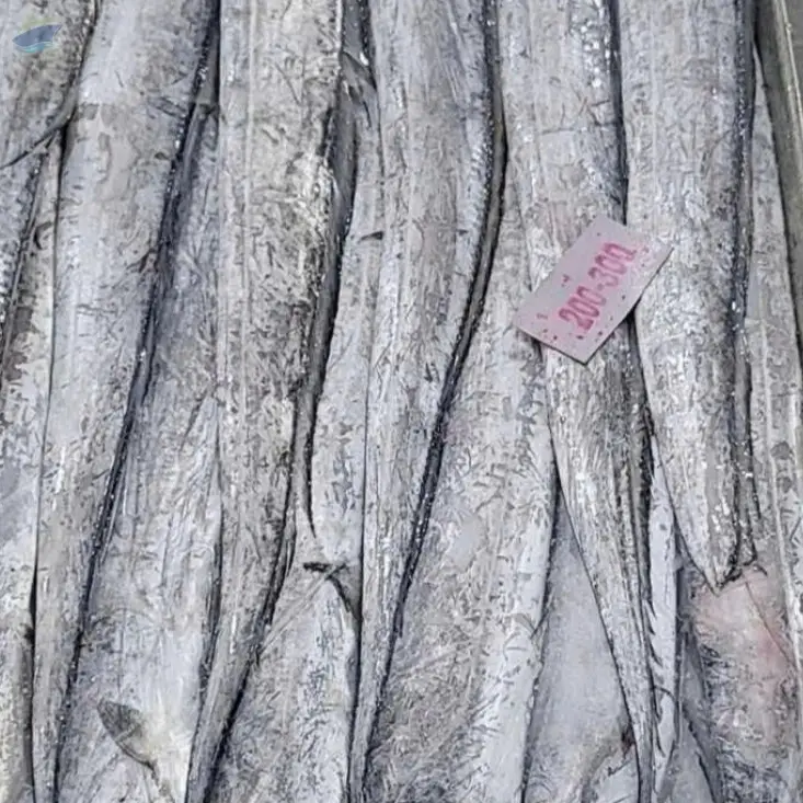 Frozen Ribbonfish