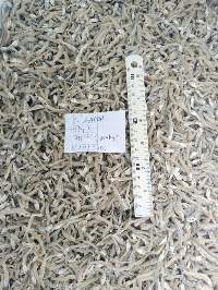Dried Anchovy Fish