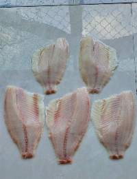 Tilapia Fillets Pink