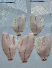 Tilapia Fillets Pink