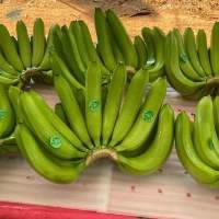 banana