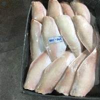 Frozen Leather Jacket Fish