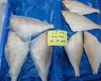 Frozen Leather Jacket Fish