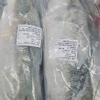 Frozen Barramundi Whole Round