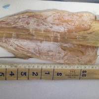 Dried Squid