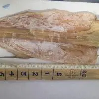 Dried Squid