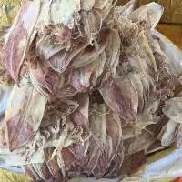Dried Squid