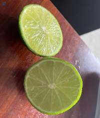 Seedless Lime