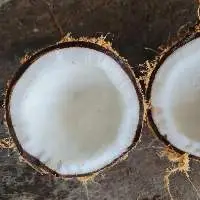 Dried Coconut
