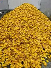 Dried Jackfruit