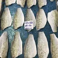 Barramundi Fish