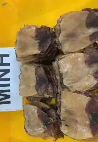 Dried Black Squid