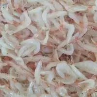 Salted Baby Shrimp