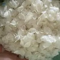 Dried Fish Scale