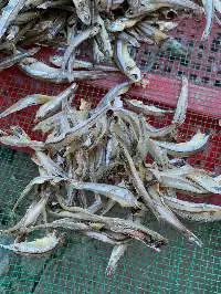 Dried Fillet Anchovy