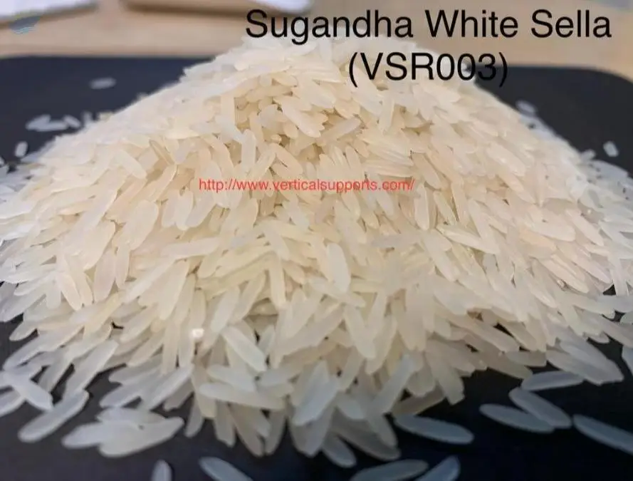 Sugnadha White/creamy Sella