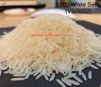 1509 White/creamy Sella