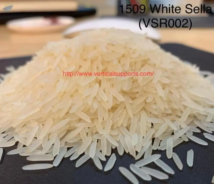 1509 White/creamy Sella