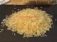1509 Golden Sella