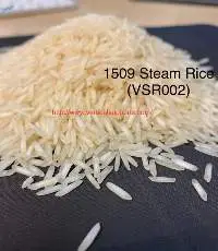 1509 Steam