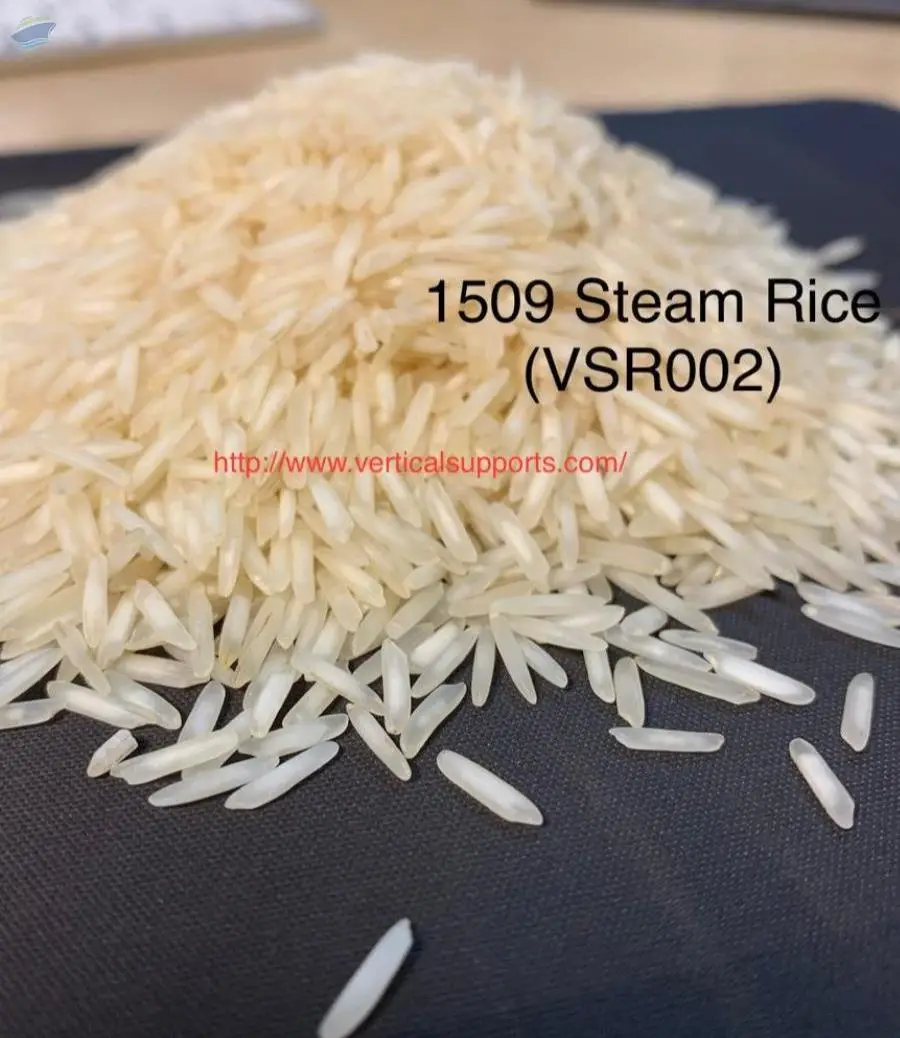 1509 Steam