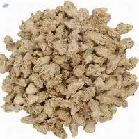 Dried Cactus Flowers (Opuntia ficus-indica)