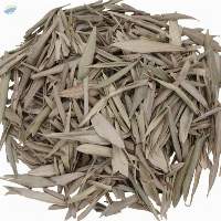 Dried Olive Leaves (Olea europaea)