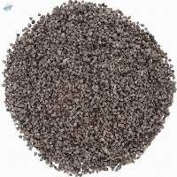 Chaste Tree Seeds (Vitex agnus-castus)