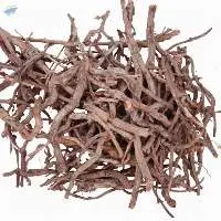 Dried Madder Root (Rubia Tinctorum)
