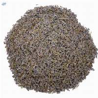 Dried Lavender Flowers (Lavandula angustifolia)