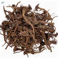 Dried Dandelion Root (Taraxacum officinale)